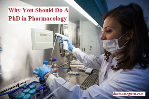 Why You Should Do A PhD in Pharmacology Why You Should Do A PhD in Pharmacology