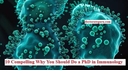 10 Compelling Reasons Why You Should Do a PhD in Immunology 10 Compelling Why You Should Do a PhD in Immunology
